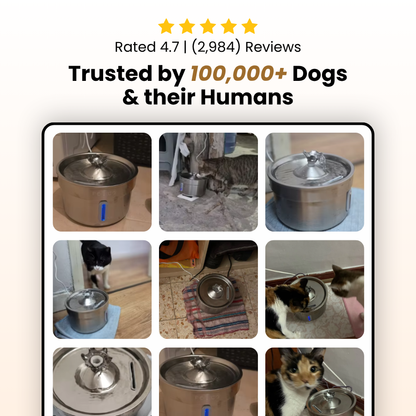 ÉlevéPaws Stainless Steel Pet Water Fountain – 4L Fresh Flow Hydration Bowl