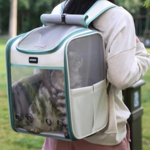 Portable Transparent Pet Carrier Bag