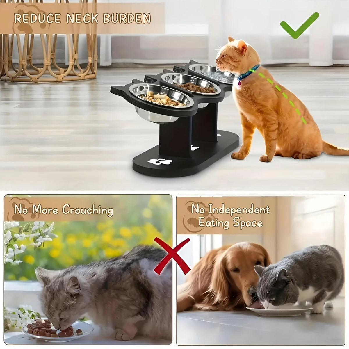 Elevated Cat Food Bowl