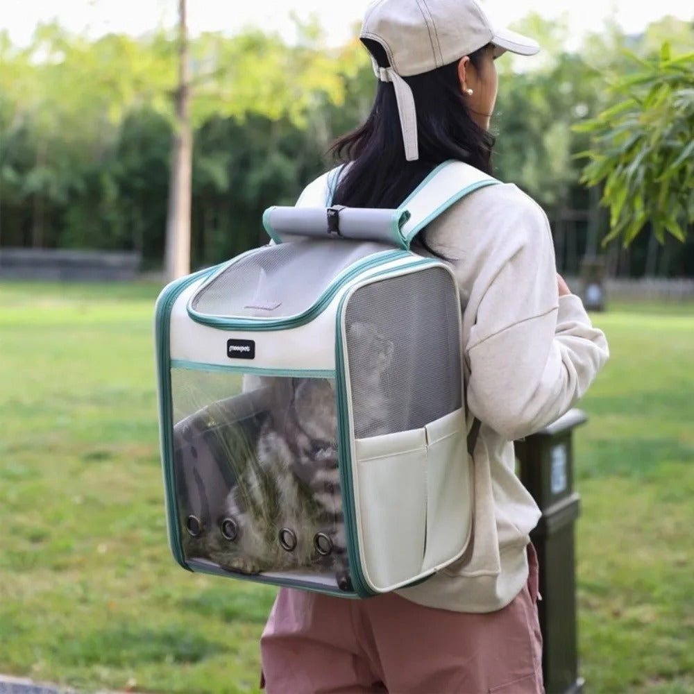 Portable Transparent Pet Carrier Bag